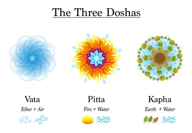 shatavariayurveda.com -shatavari-ayurveda