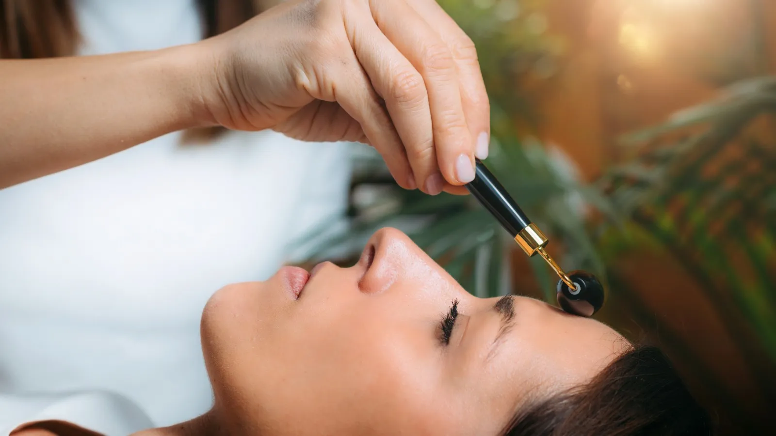 shatavariayurveda.com -shatavari-ayurveda