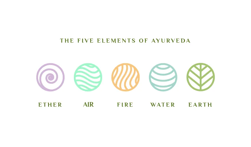 shatavariayurveda.com -role-consitution-body