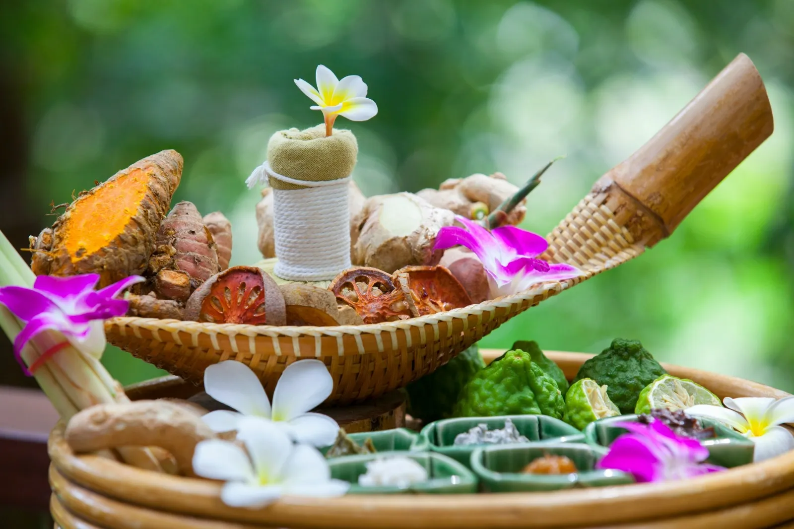 shatavariayurveda.com -transformed-my-life