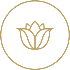 shatavariayurveda.com -ecology
