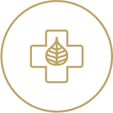 shatavariayurveda.com -experts