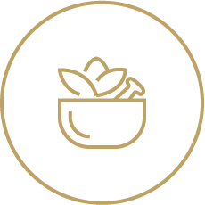 shatavariayurveda.com -herb