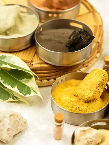 shatavariayurveda.com-ayurveda-wellness