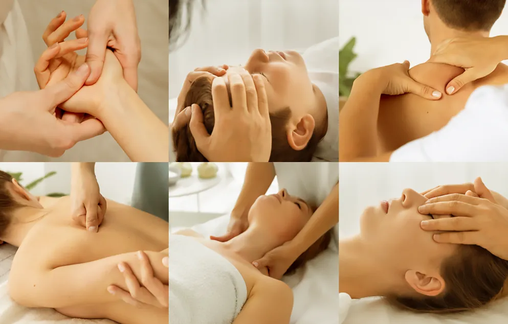 shatavariayurveda.com -yoga1