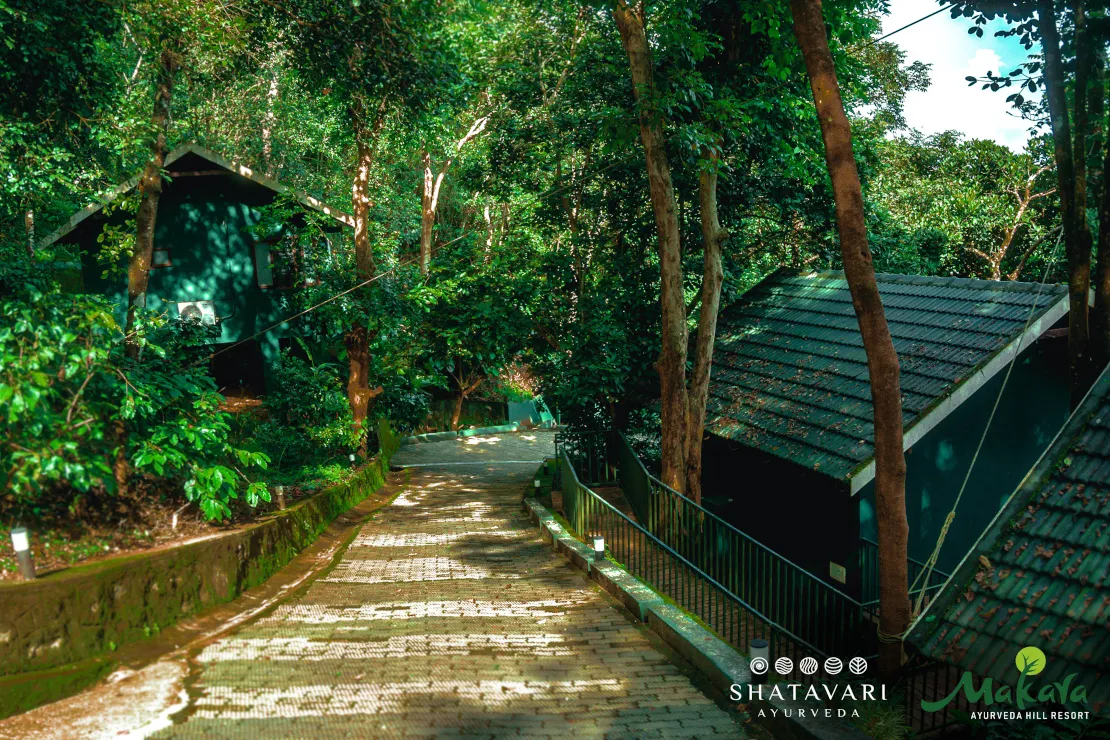 shatavariayurveda.com -slider