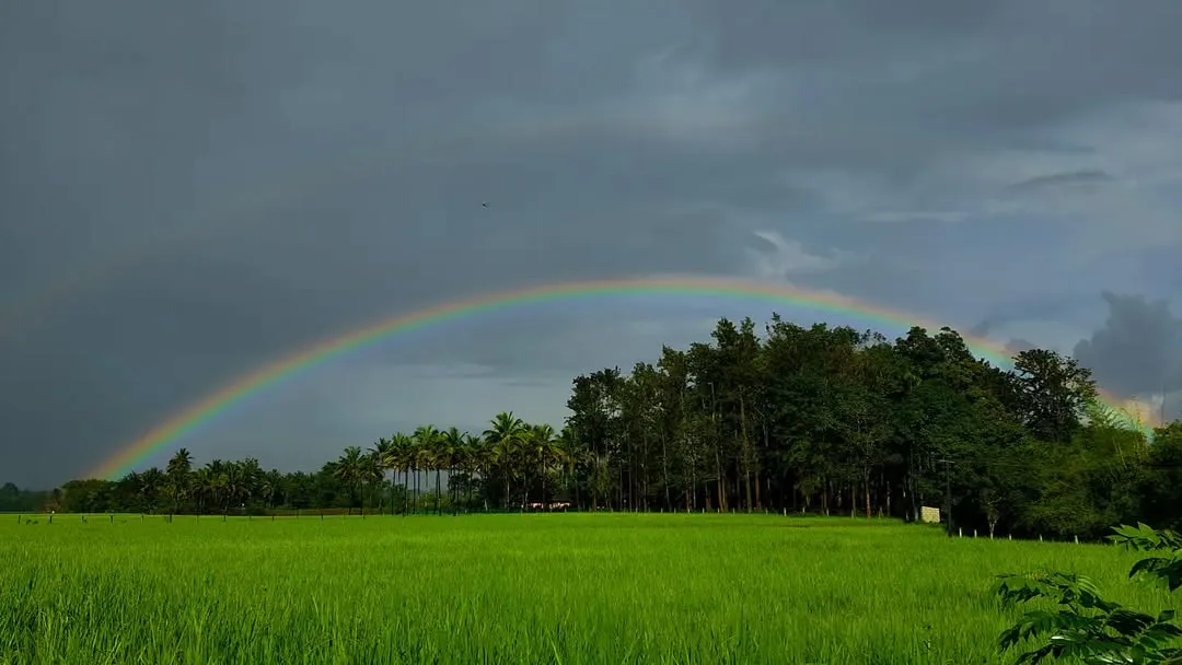 shatavariayurveda.com - Chekadi-Village