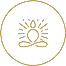 shatavariayurveda.com -yogabased