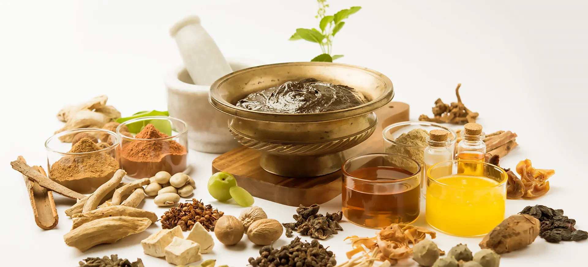 shatavariayurveda.com -ayurveda_banner