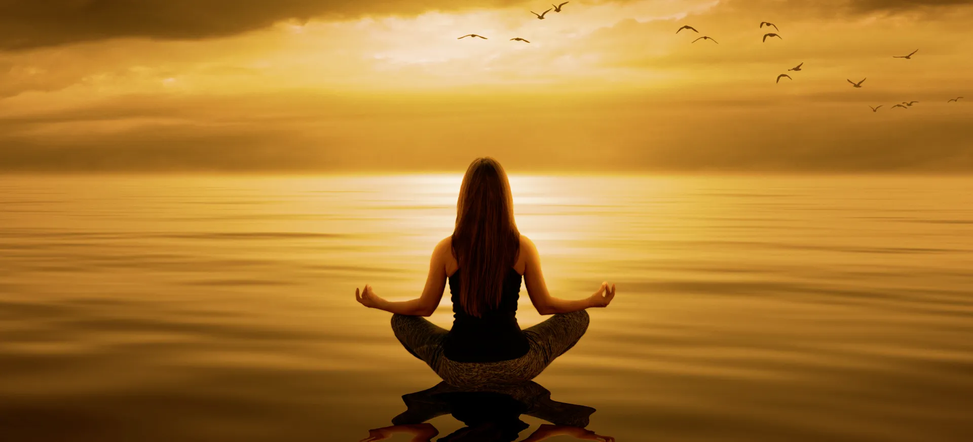 shatavariayurveda.com -yoga_banner